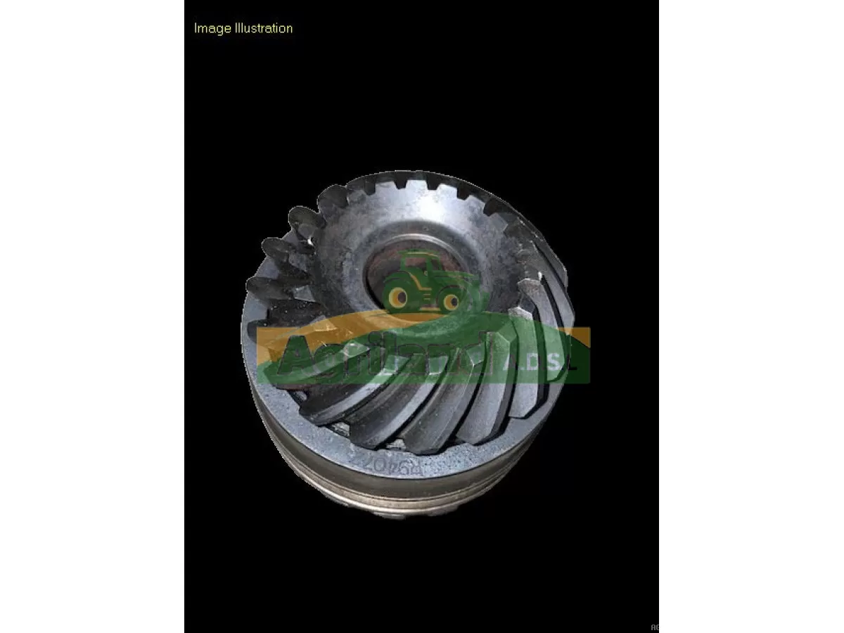 PIGNON D'ENTRAINEMENT DE POMPE Z19 AVEC MANCHON 