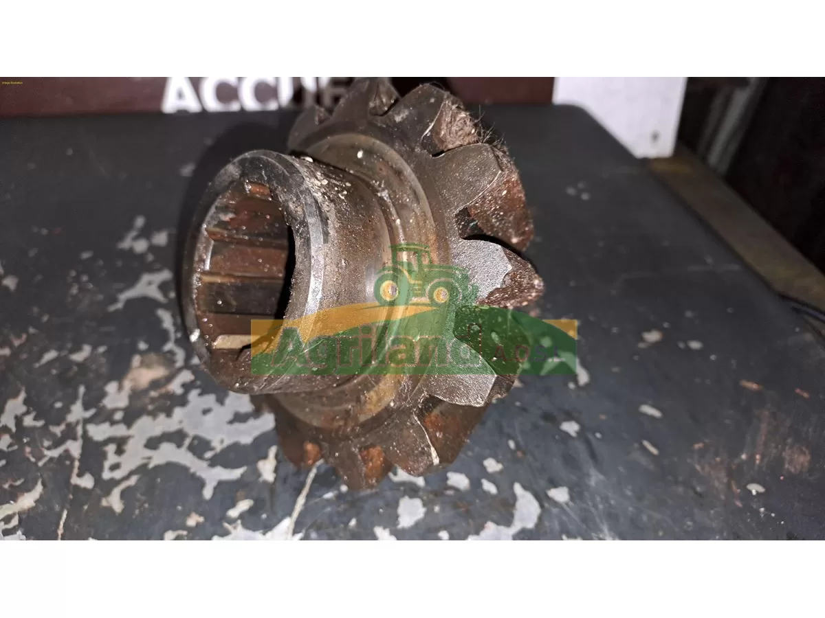 PIGNON CONIQUE Z13 