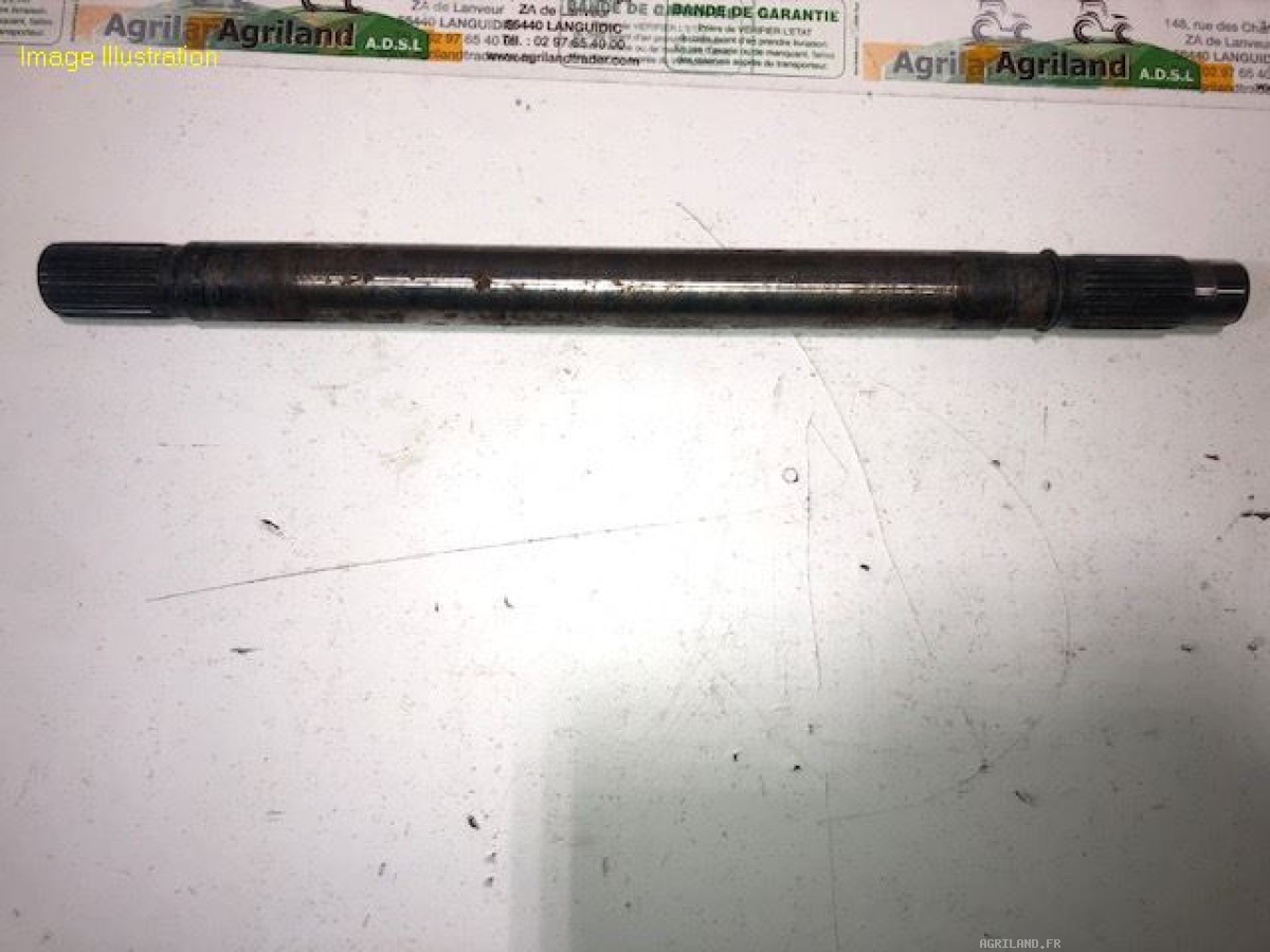 ARBRE D'ENTRAINEMENT DE PRISE DE FORCE