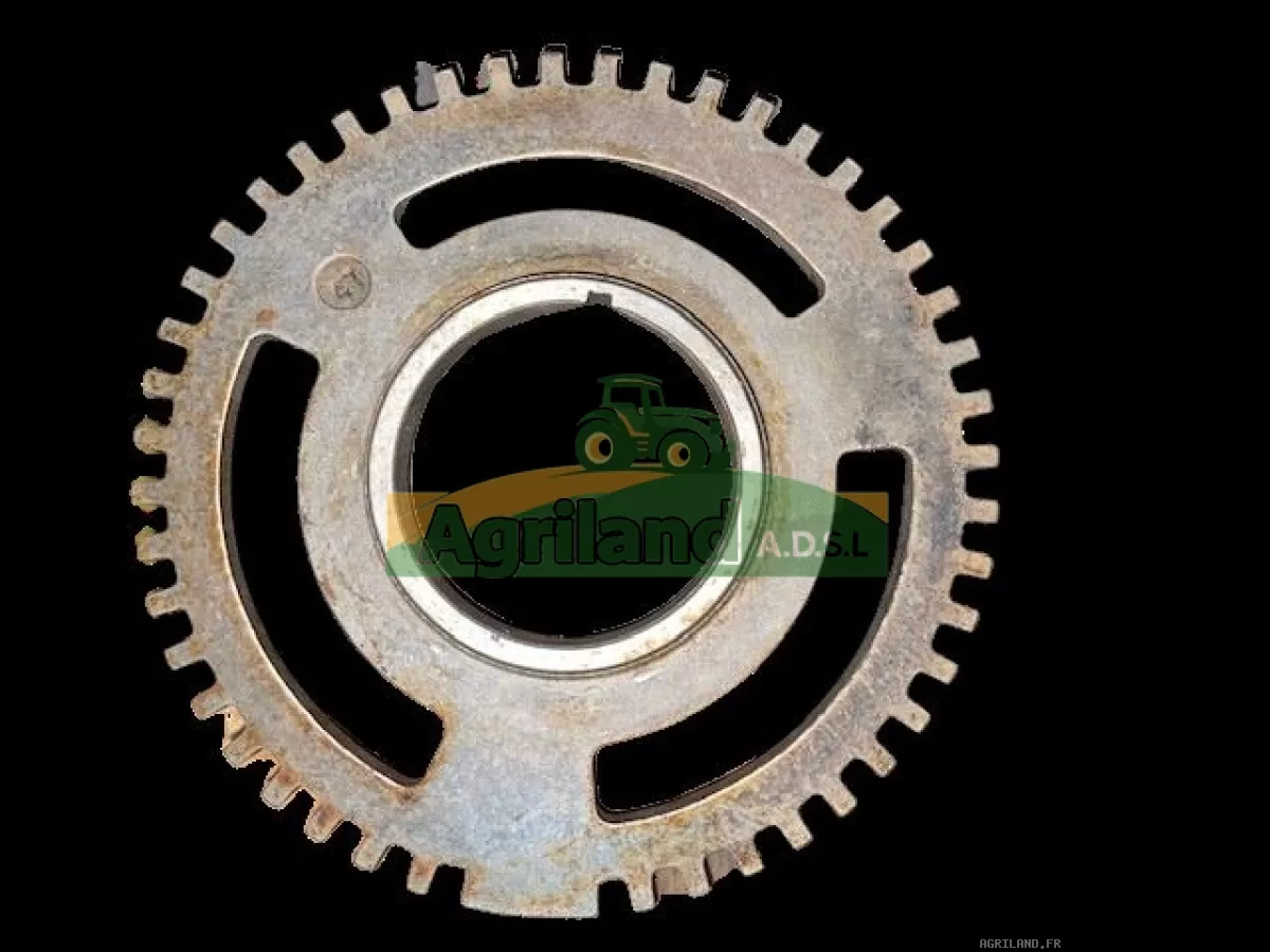 PIGNON DE VILEBREQUIN Z47