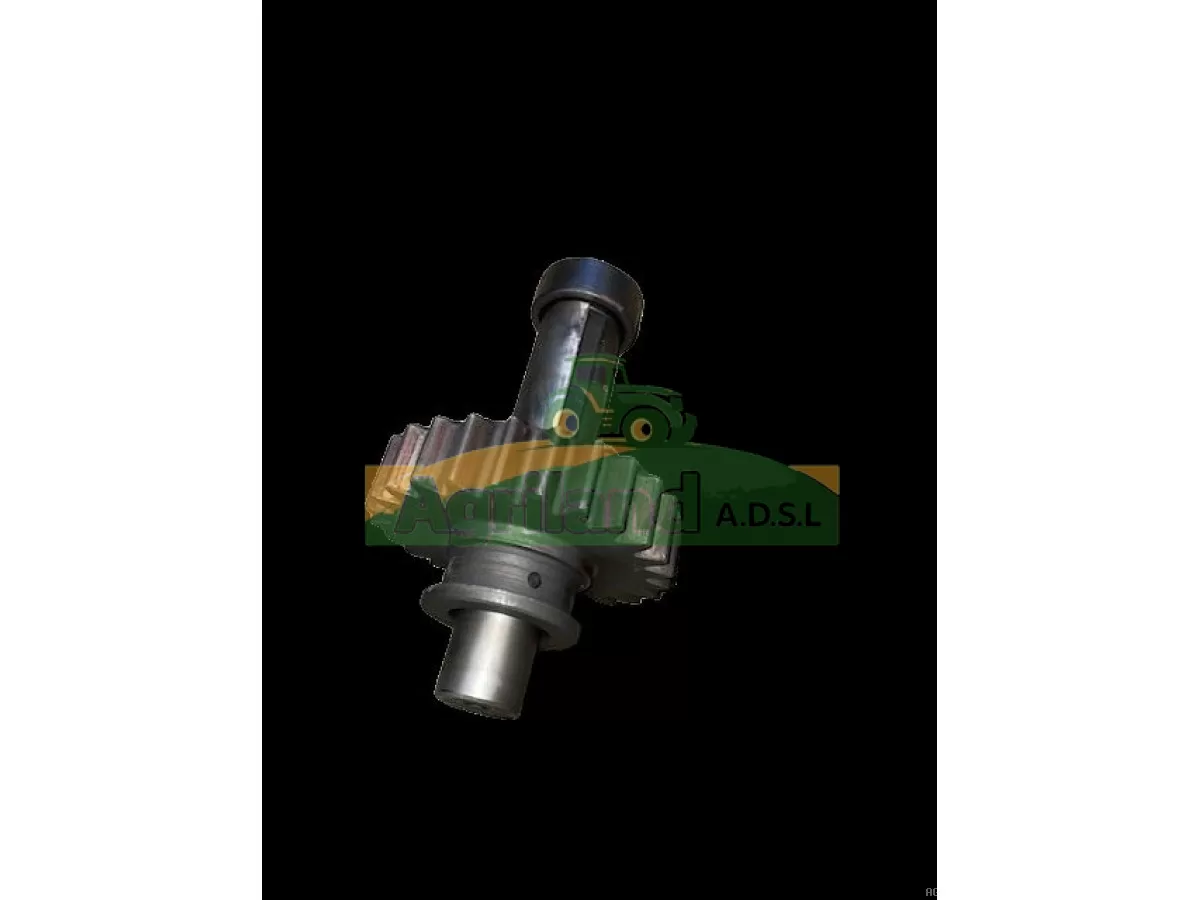 PIGNON Z25  AVEC ARBRE 