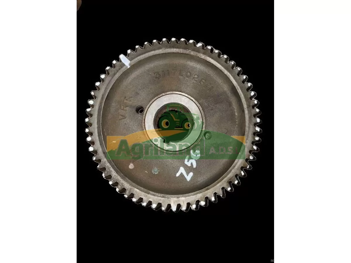 PIGNON DE L'ARBRE À CAMES Z56