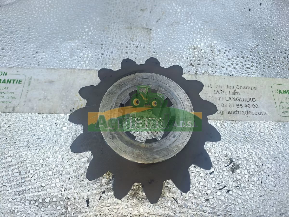PIGNON CONIQUE Z15