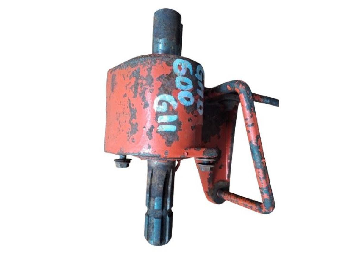 PALIER MENANT AVEC ARBRE ET BRIDE