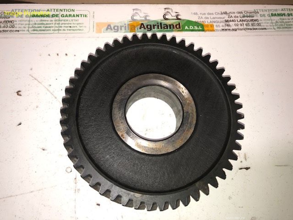 PIGNON D'ENTRAINEMENT Z51