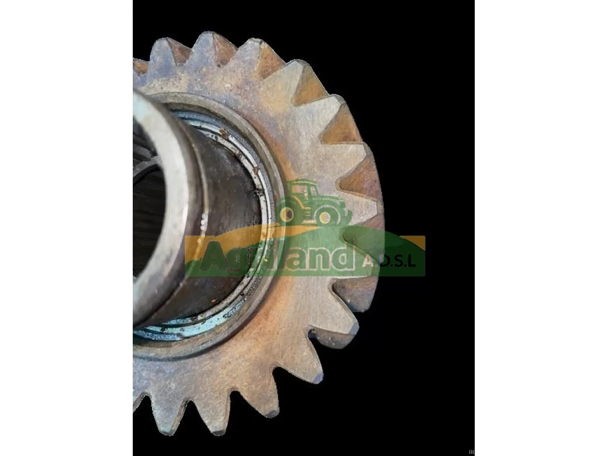 ARBRE À PIGNON Z23/21