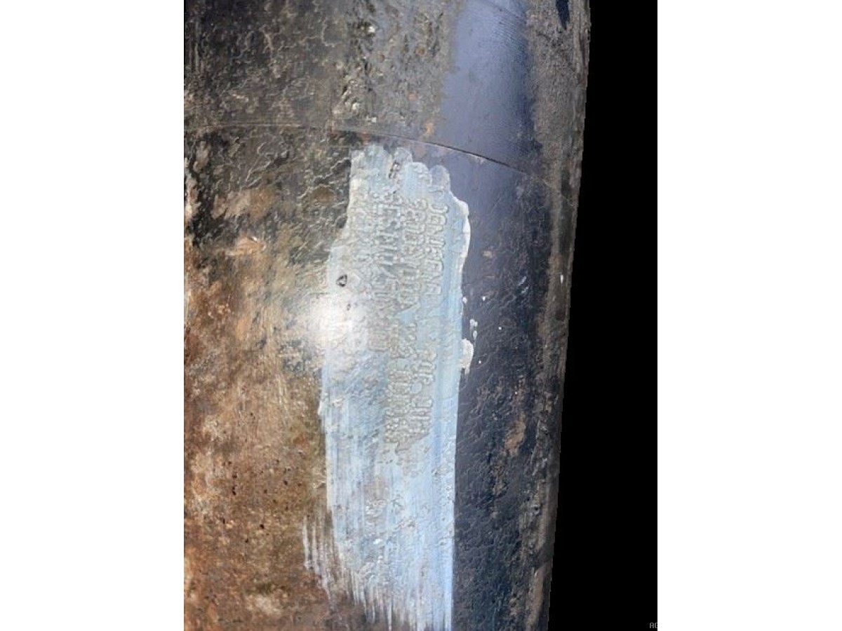 VERIN DE RELEVAGE DIA 100 MM