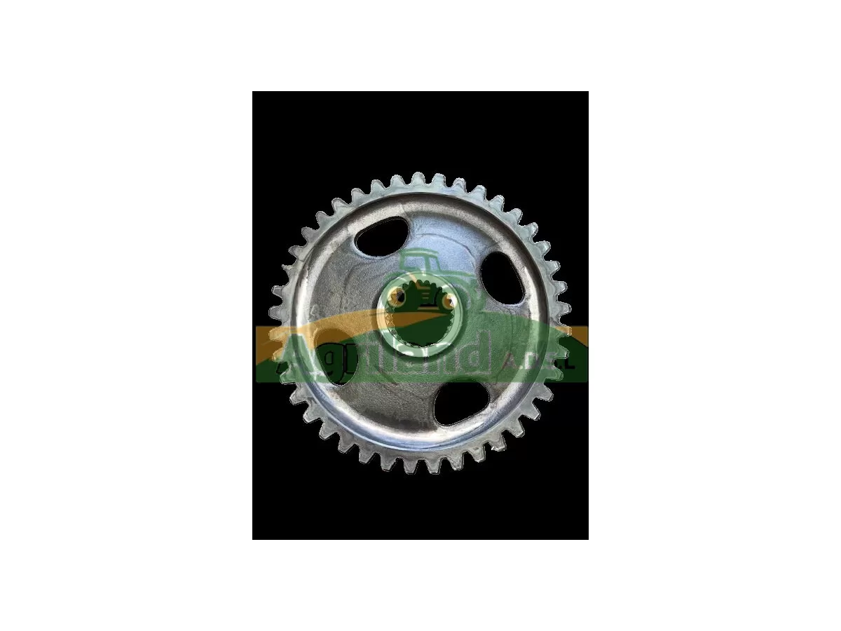 PIGNON LATERAL DM Z41 