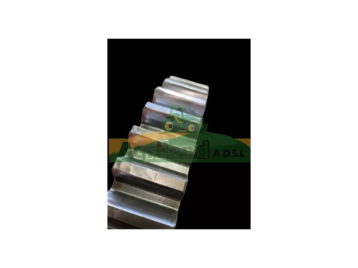 PIGNON LATERAL DM Z41 
