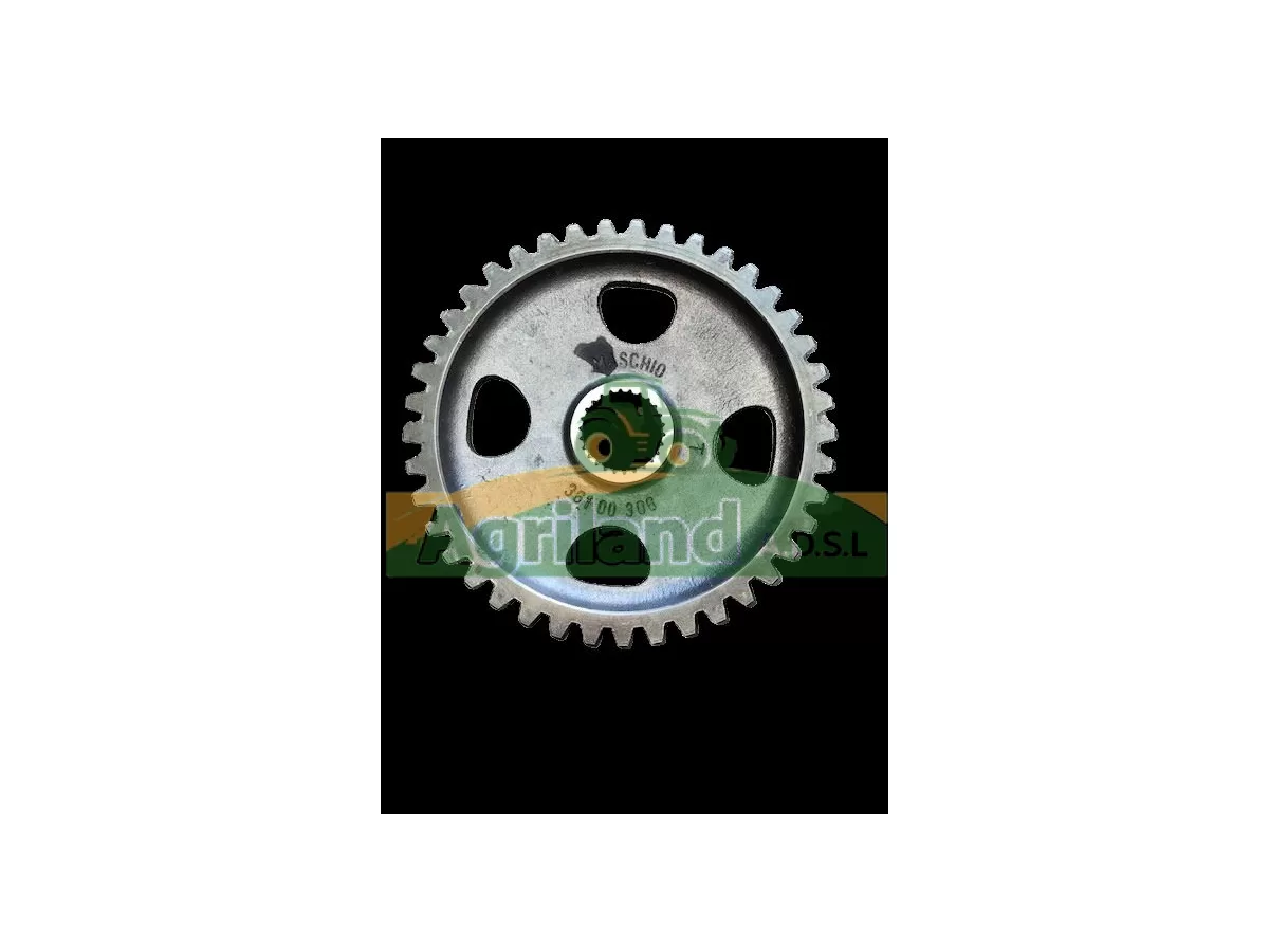 PIGNON LATERAL DM Z41 