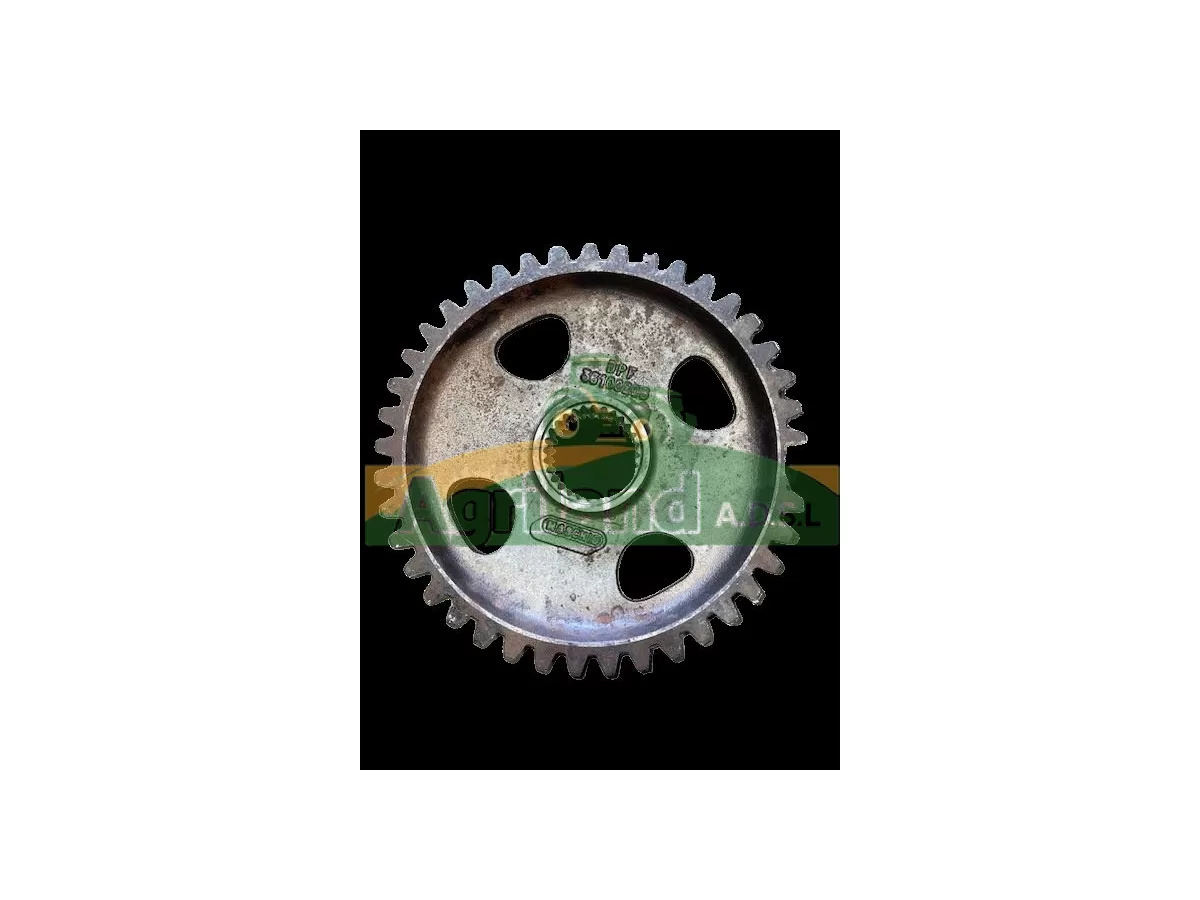 PIGNON CENTRAL DM Z41