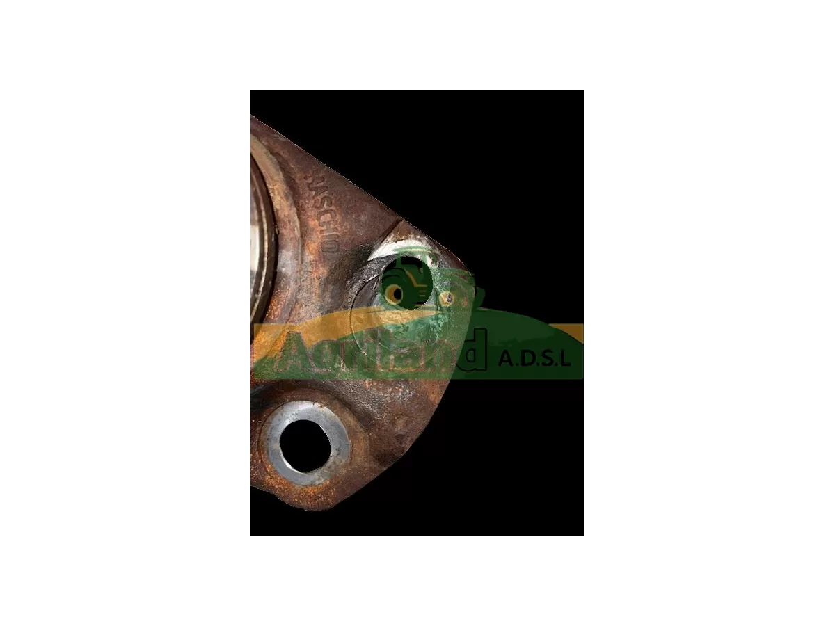 PORTE DENT CENTRAL DM 