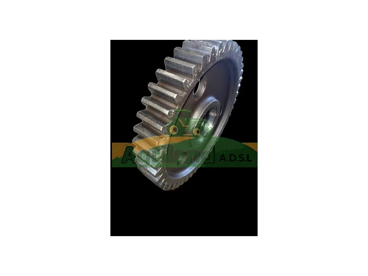 PIGNON CENTRAL Z45