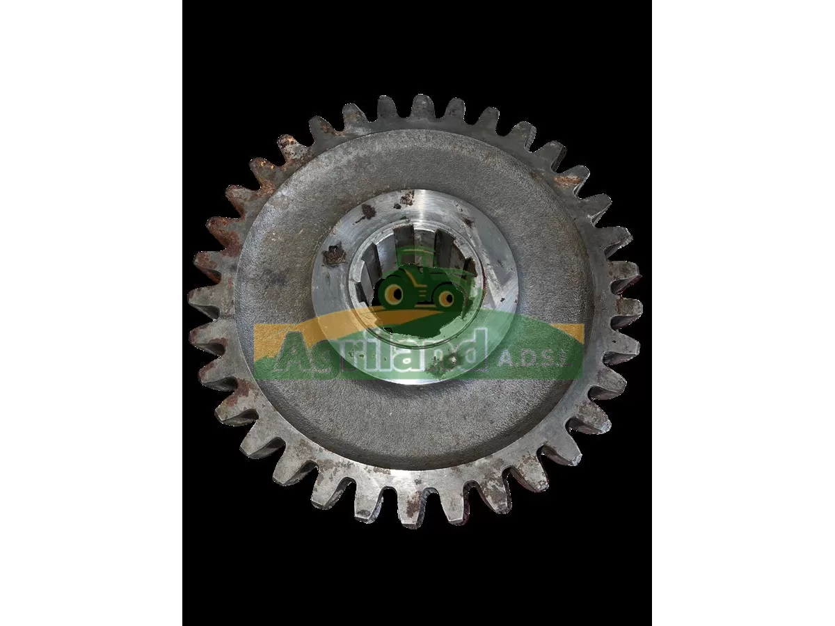 PIGNON DE BOITE Z34