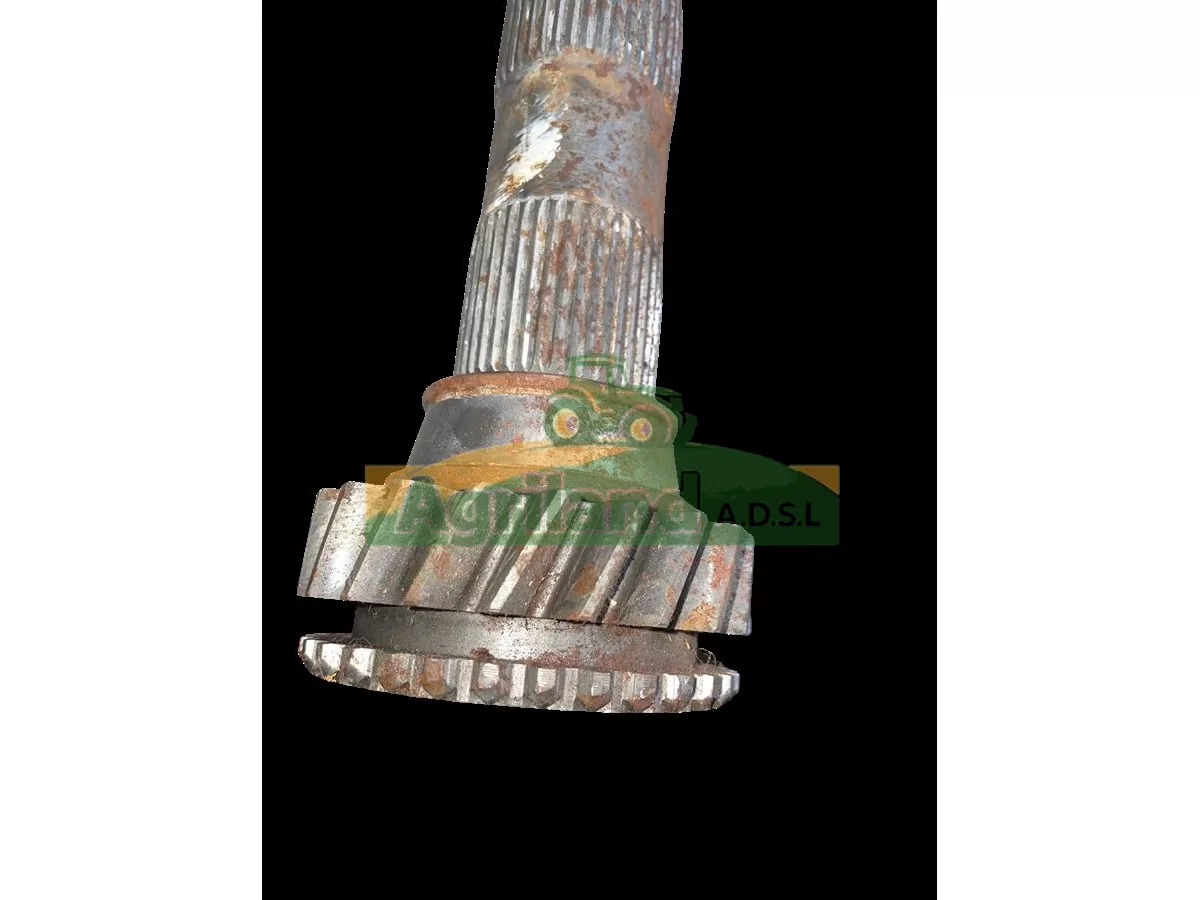 ARBRE INTERMEDIAIRE Z21