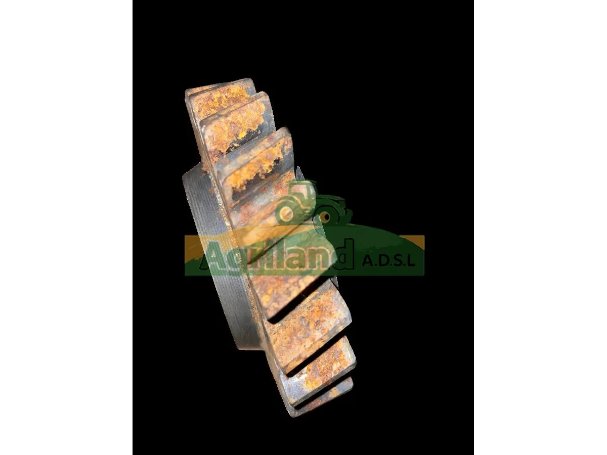 PIGNON Z22 DE BOITE 