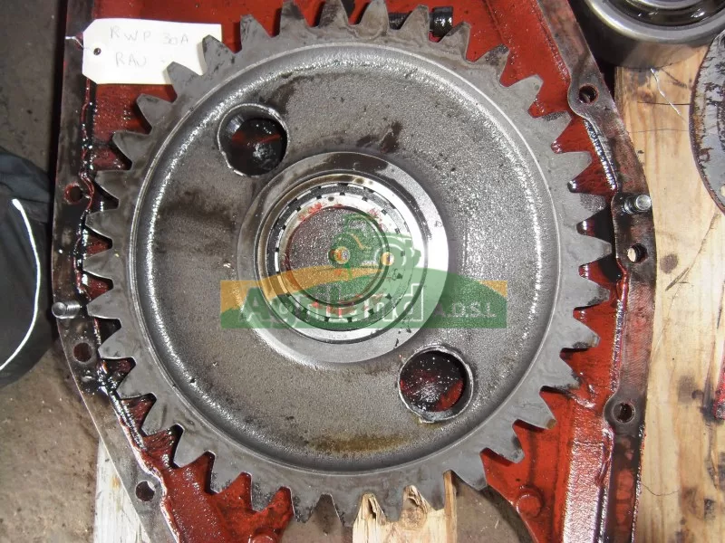 Pignon Central Rau Rwp 30 Et 40A