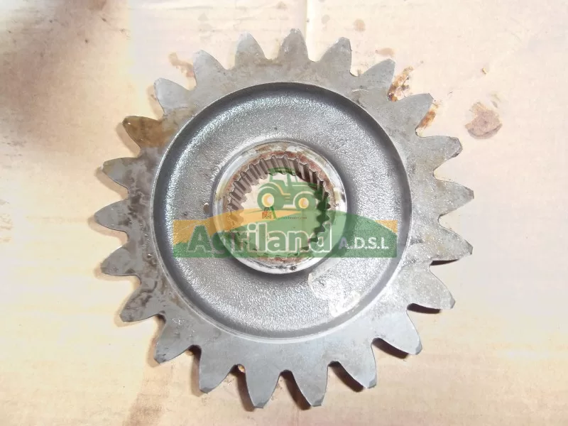 RAU Pignon Rwp 30 Et 40