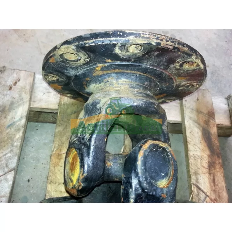 KONGSKILDE Machoire A Plateau Bondioli Howard