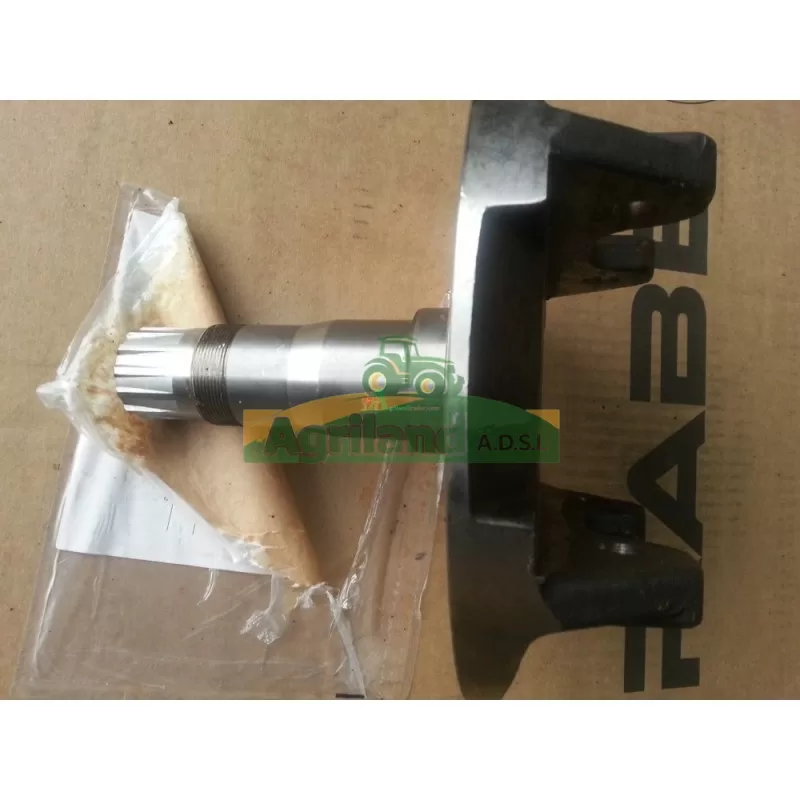 Porte Dent Rabewerk Cke