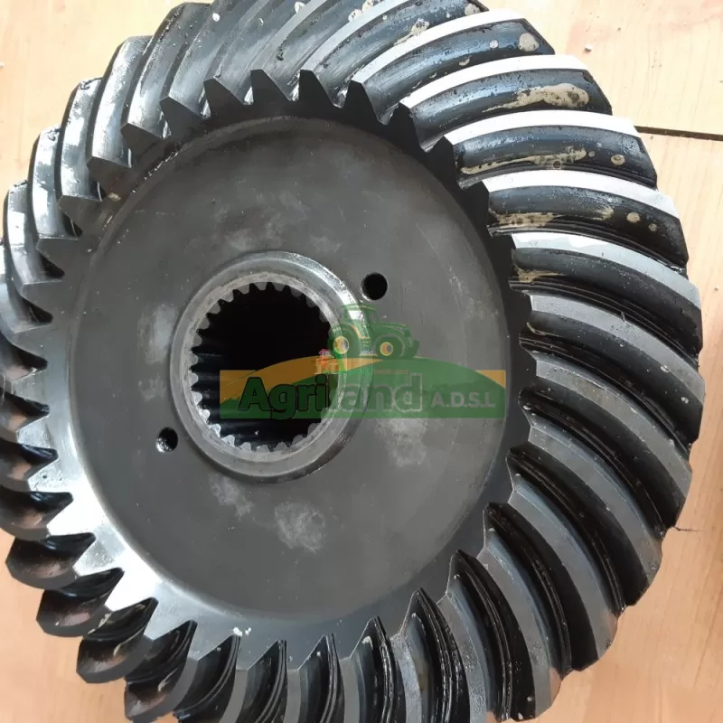 Pignon Couronne Couple Conique Maschio Mega