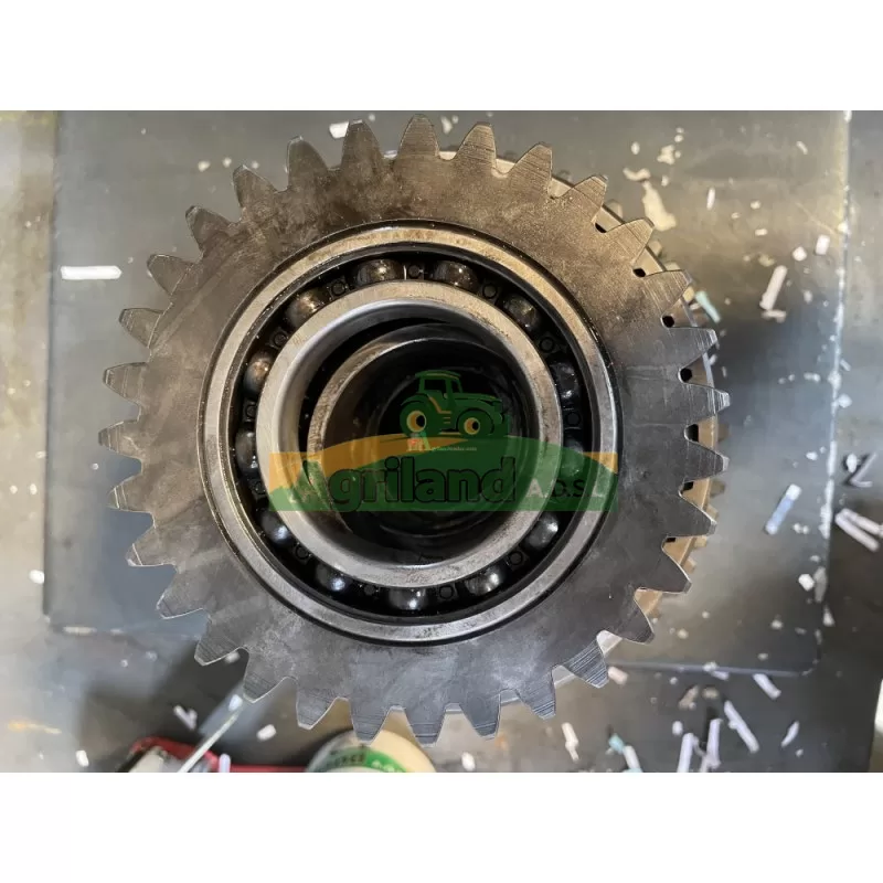 Pignons De Boite De Vitesse New Holland Tm 175