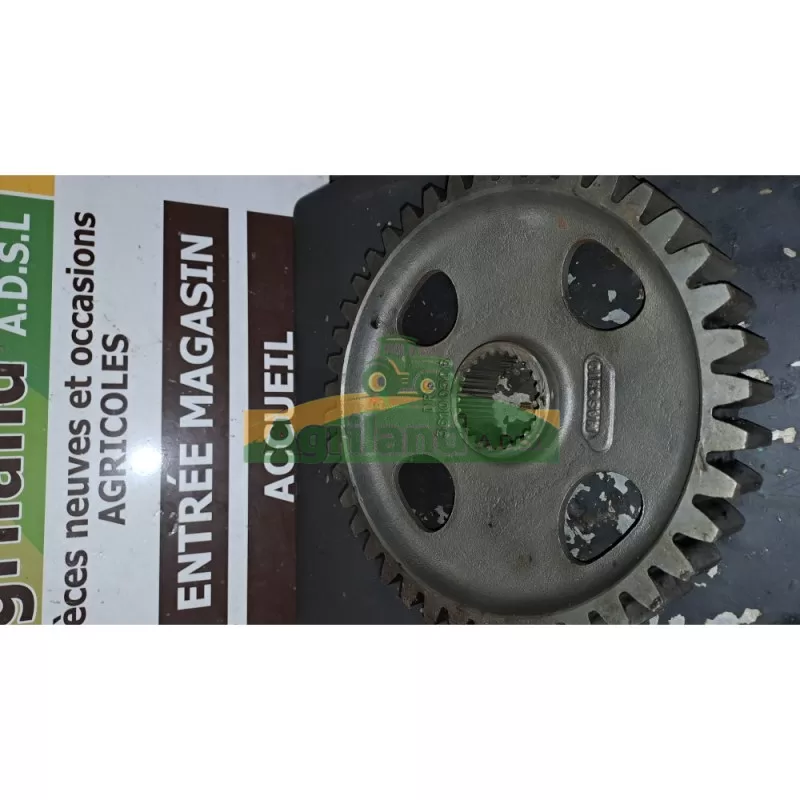 Pignon Maschio Dm Rapido